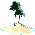 palm