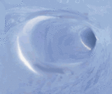 wave
